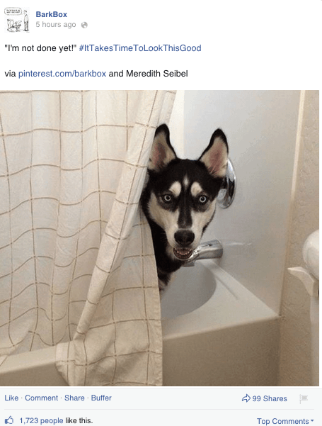 barkbox